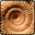 Fossils